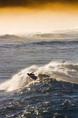 surf sur la côte sauvage