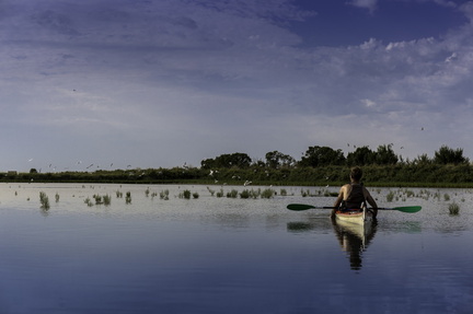 kayak sur la seudre