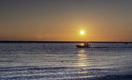 chaland sur la seudre au lever du soleil