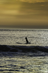 surf sur la côte sauvage à la nuit tombée