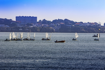 optimist dans la baie de royan