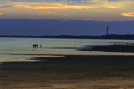 coucher de soleil la palmyre