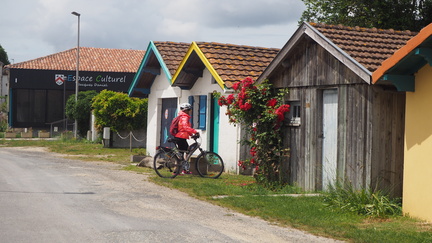 vélo sur l'estuaire de la seudre