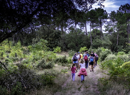 randonnée en forêt