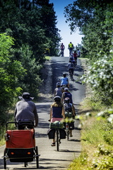vélo à la palmyre