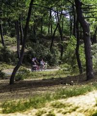 vélo en forêt