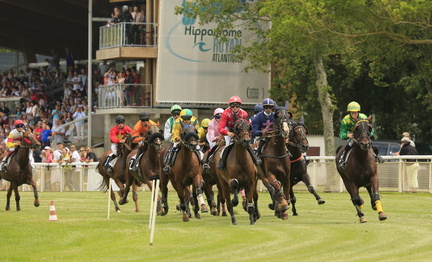 course hippodrome royan atlantique la palmyre