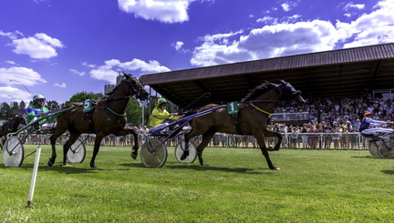 course hippodrome royan atlantique  la palmyre