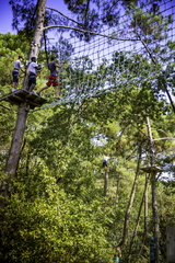parcours accrobranche en forêt la palmyre