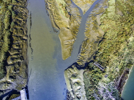 marais de la seudre à la verticale