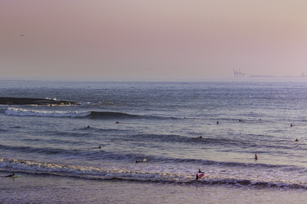 surf