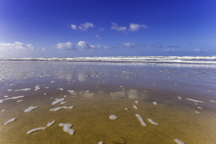 écume sur la côte sauvage