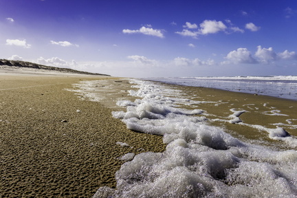 écume sur la côte sauvage