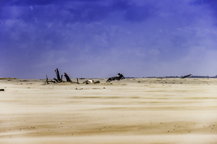 côte sauvage