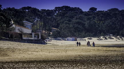 balade sur la plage de ronce