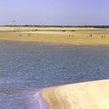 plage de la palmyre à marée basse