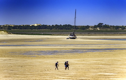 balade à marais basse