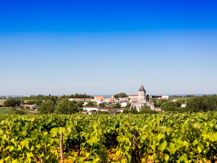 église de arces vue des vignes