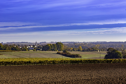 église de barzan vue des champs