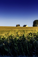 champs de boutenac-touvent