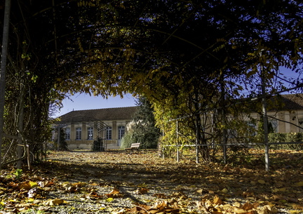 parc de cozes en automne