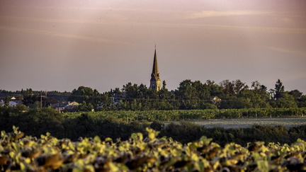 église de mortagne vue de la gravelle