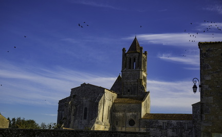 vol d'oiseaux sur l'abbaye de sablonceaux
