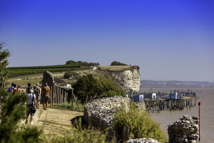 balade sur les falaises de talmont