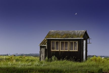 cabane ostréicole