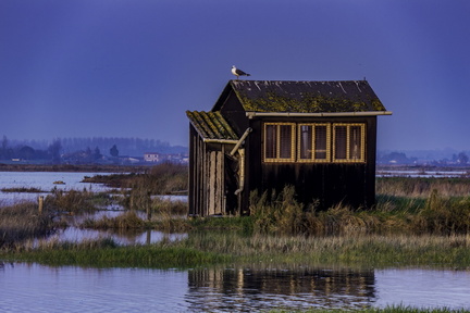 cabane ostréicole