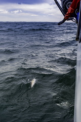 sur un bateau de pêche