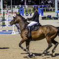 jumping de royan 2018