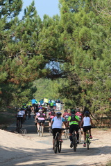 raid de la palmyre 2018