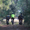 raid de la palmyre 2018