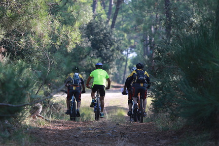 raid de la palmyre 2018