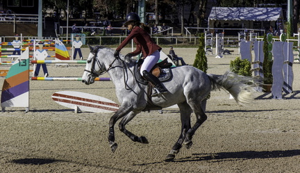 jumping de royan 2019
