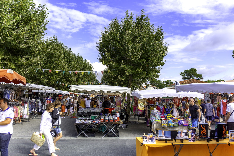 t.avan190814 ronce brocante (1).jpg