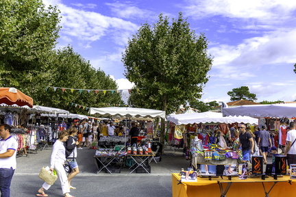 brocante à ronce 2019