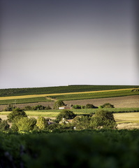 campagne de barzan