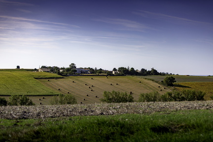 la guignarderie