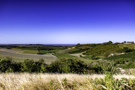 route du pineau