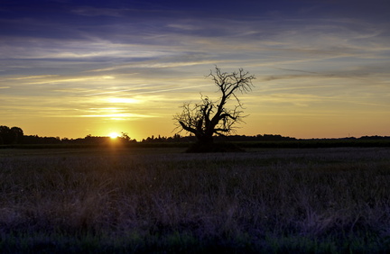 sunset sur corme-écluse