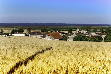 st-romain-sur-gironde