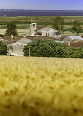 église de st-romain-sur-gironde