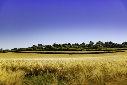 st-romain-sur-gironde