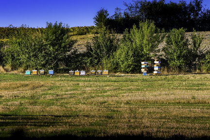ruches de floirac