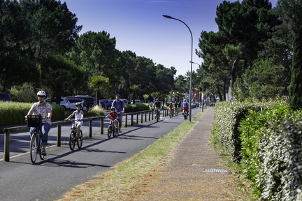 balde à vélo à la palmyre
