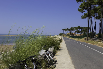 le long du club med