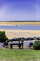balade à vélo à la palmyre