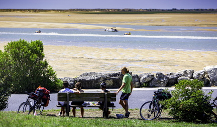 balade à vélo à la palmyre